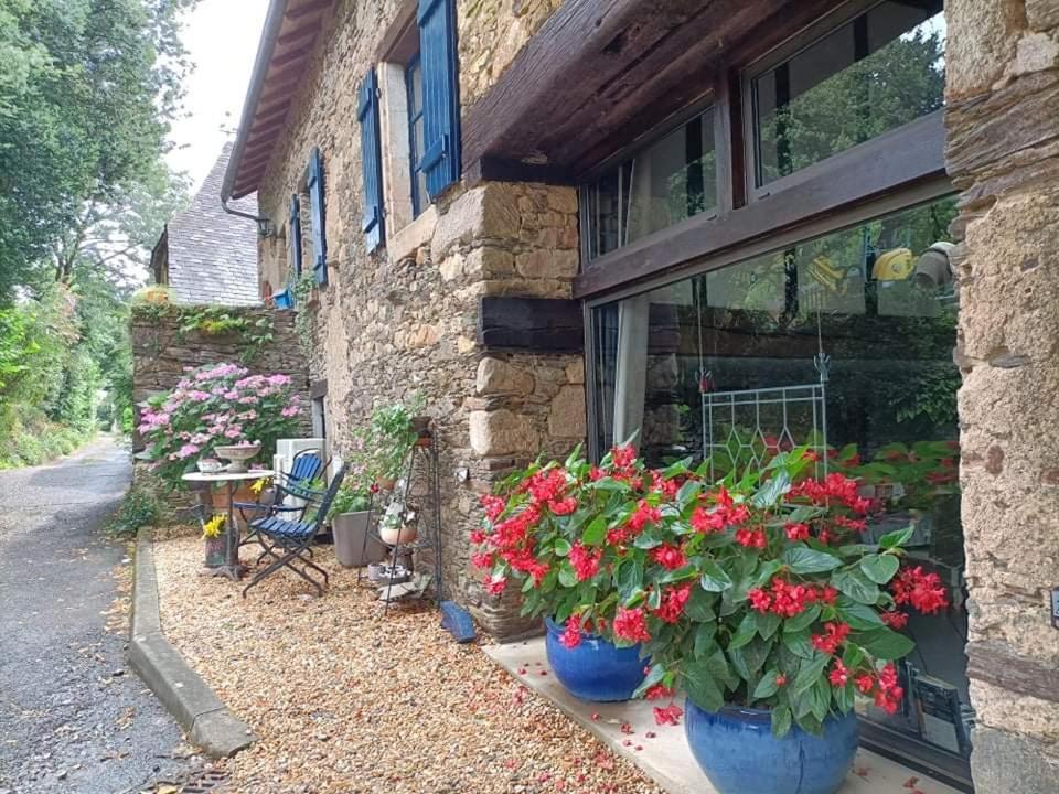 La Maison Bleue Juillac  Buitenkant foto
