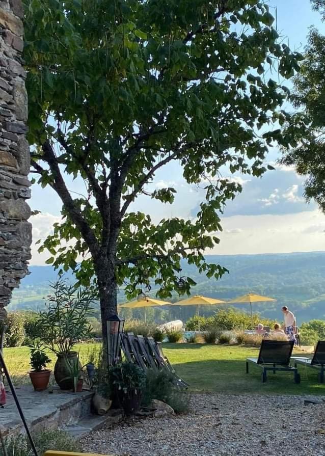 La Maison Bleue Juillac  Buitenkant foto